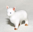 Picture of Lamb