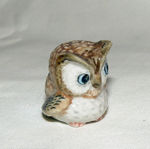 Picture of Owl
